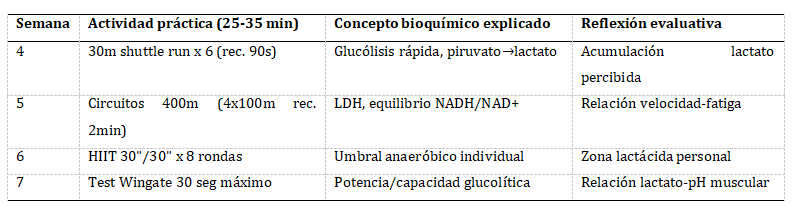 Bloque II
