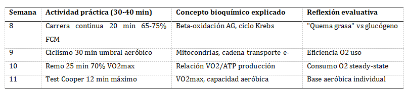 Bloque III