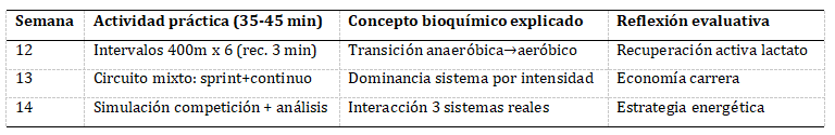 Bloque IV